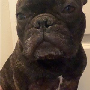 Meet your Posher, Katherine c